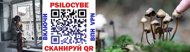 Галлюциногенные грибы прущие грибы  Андреаполь 
