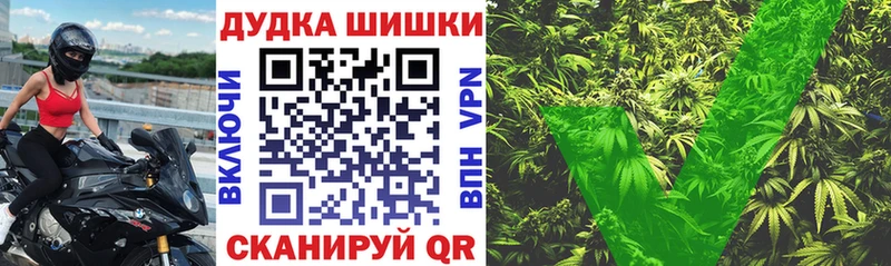 Конопля ГИДРОПОН  купить наркоту  hydra ONION  Андреаполь 